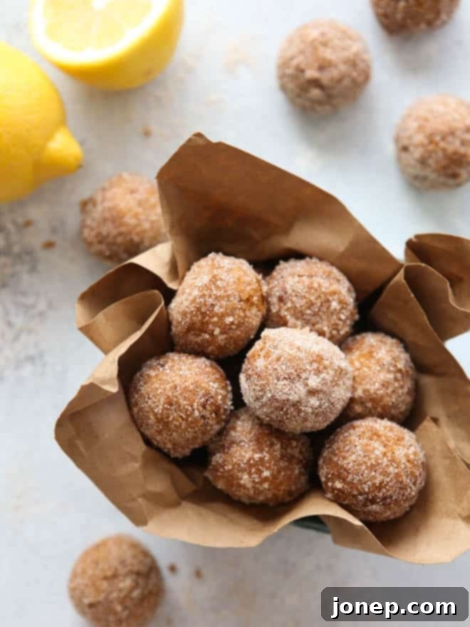 Lemon Cinnamon-Sugar Doughnut Holes | completelydelicious.com