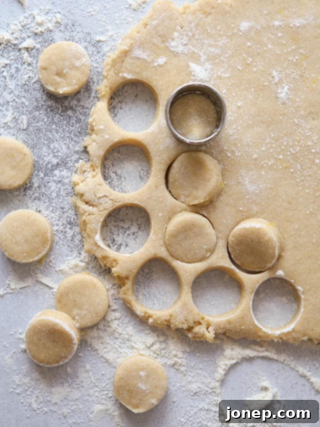 Lemon Cinnamon-Sugar Doughnut Holes | completelydelicious.com
