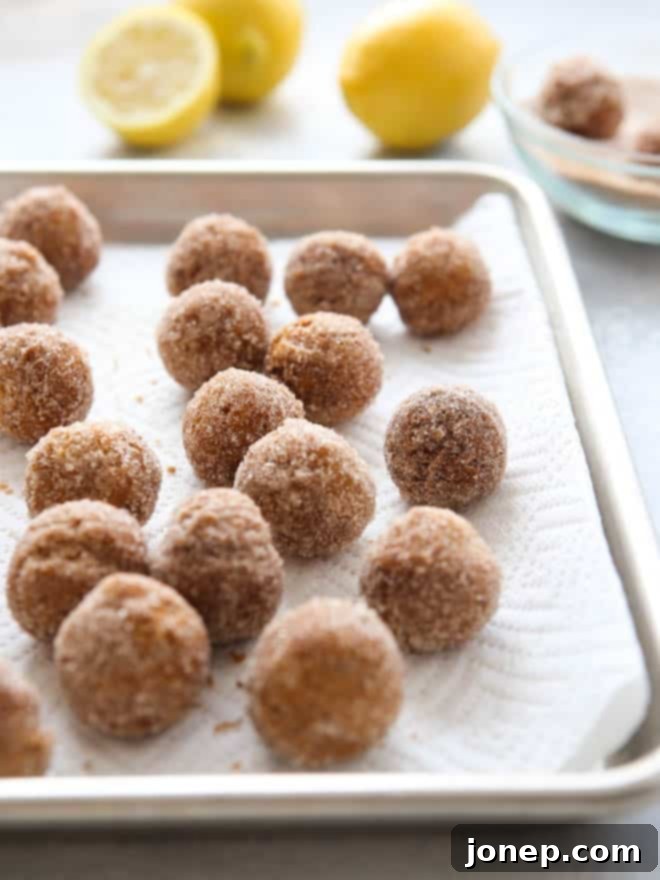Lemon Cinnamon-Sugar Doughnut Holes | completelydelicious.com