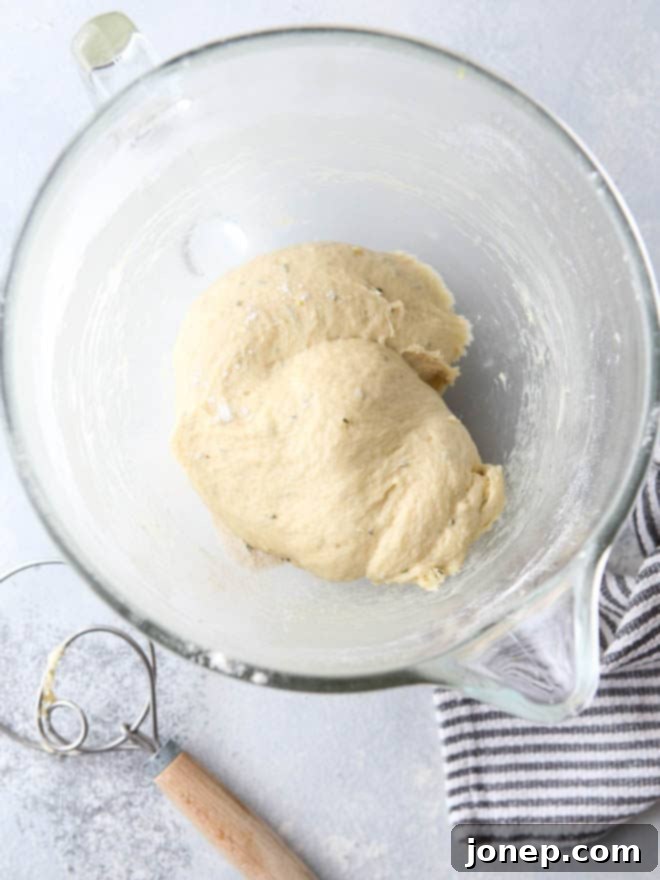 Basic homemade pizza dough is so easy to make yourself!