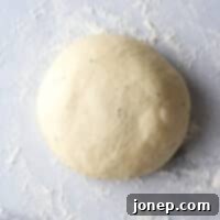Homemade Pizza Dough Perfection 7 Basic pizza dough