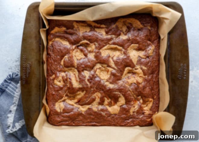 Close-up of a square of peanut butter swirl brownie, showing the fudgy texture and distinct swirl