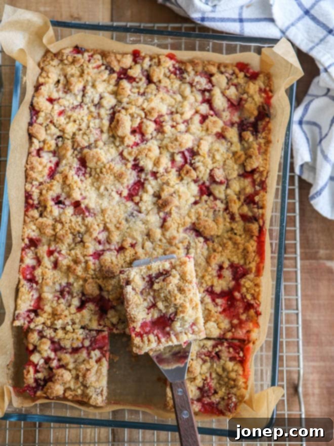 strawberry rhubarb crumb bars are the perfect treat for spring