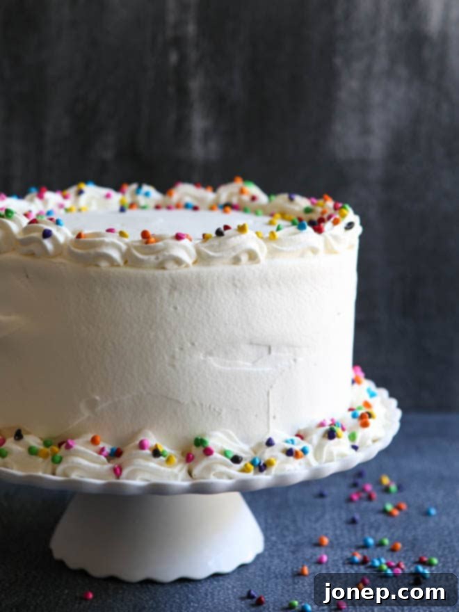 Chocolate Rainbow Ice Cream Cake Ready for Serving