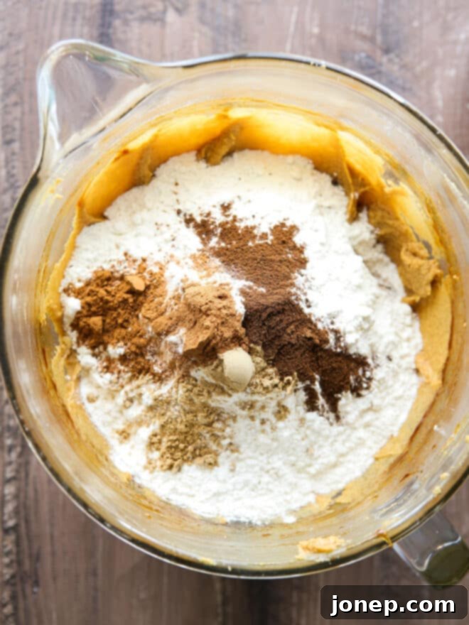 Soft-Baked Ginger Spice Cookies 4 adding spices and flour to mixing bowl with cookie dough