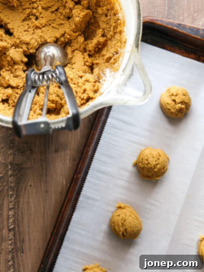 Soft-Baked Ginger Spice Cookies 5 scooping cookie dough with cookie scoop, dough balls in sheet pan