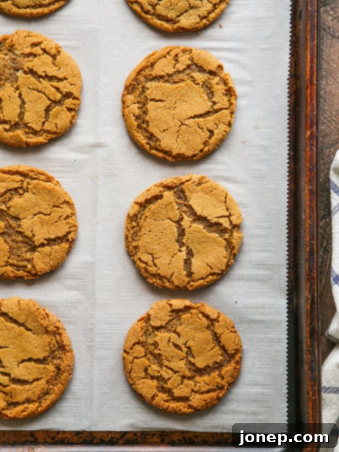 Soft-Baked Ginger Spice Cookies 6 baked gingersnaps on sheet pan