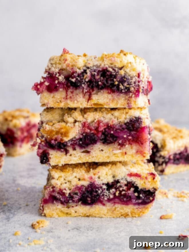 Berry Infusion Cake 13 Delicious berry crumb bars stacked on top of each other