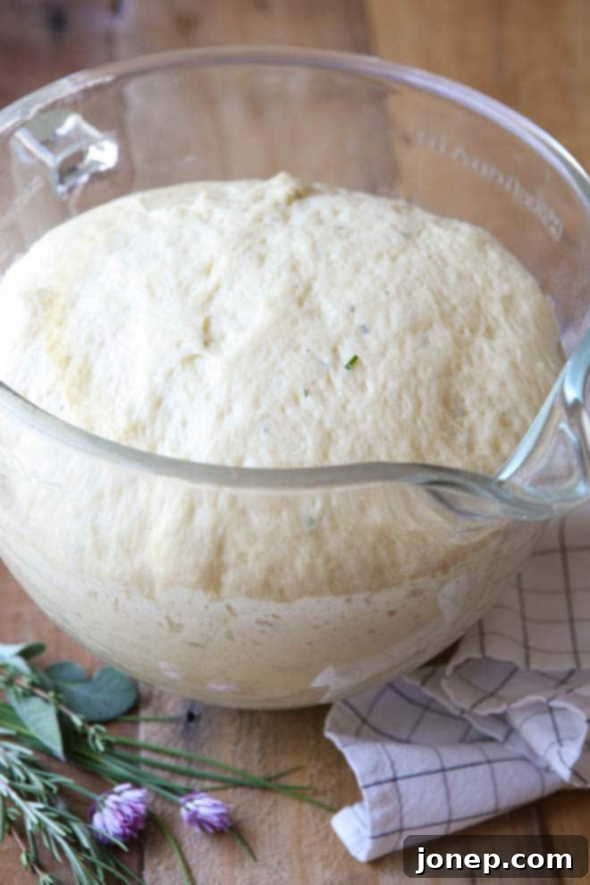 cheesy herb burger bun dough