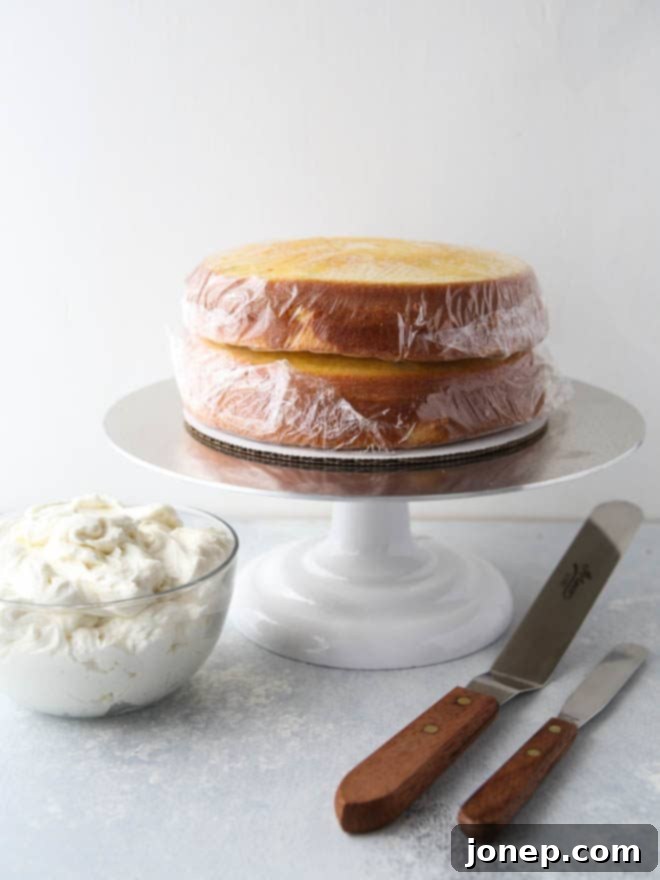 How to frost a layer cake - it's not that scary, I'll show you how!