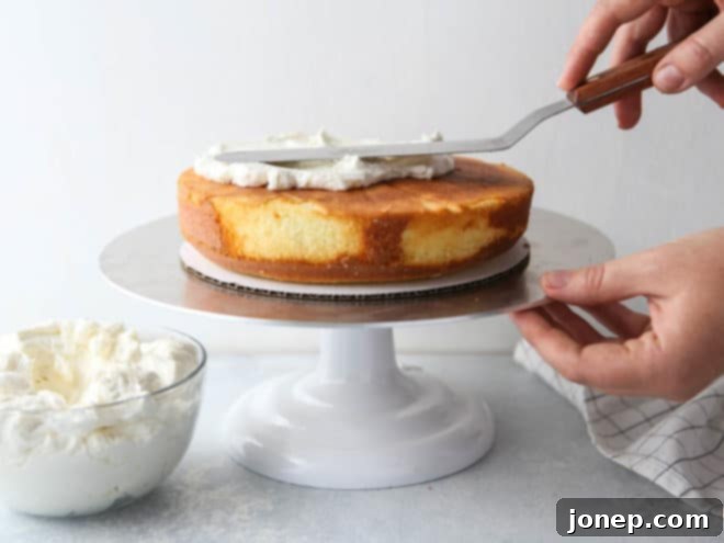 How to frost a layer cake - it's not that scary, I'll show you how!