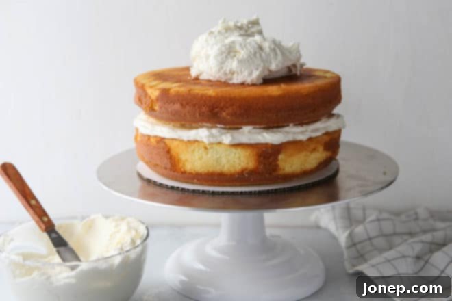 How to frost a layer cake - it's not that scary, I'll show you how!