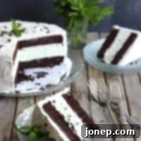 Mint Chocolate Chip Ice Cream Cake
