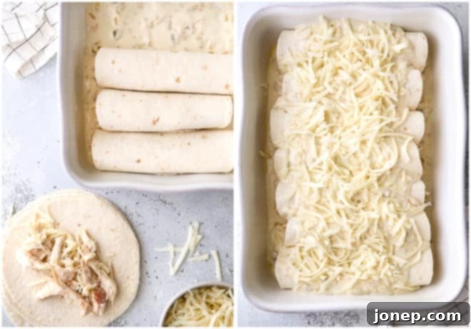 Making sour cream chicken enchiladas