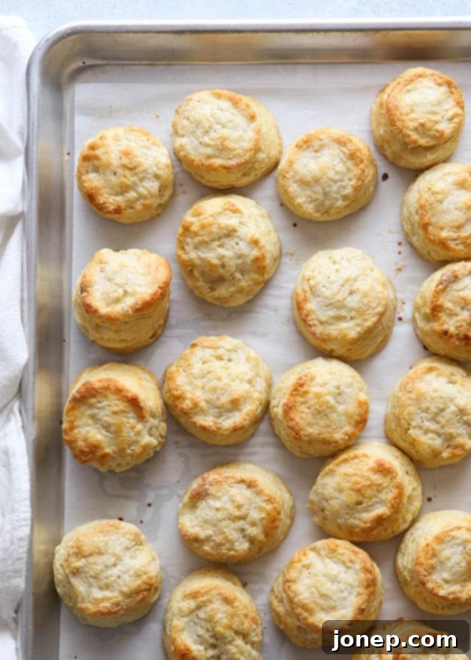 Cream cheese biscuits