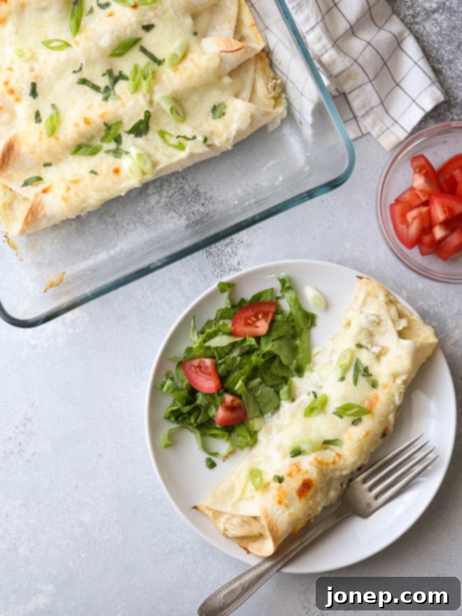 My family's favorite sour cream chicken enchiladas!