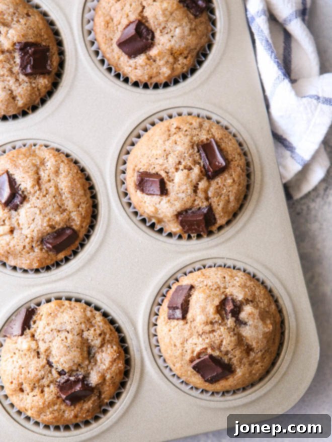 Whole Wheat Banana Muffins with Chocolate Chunks