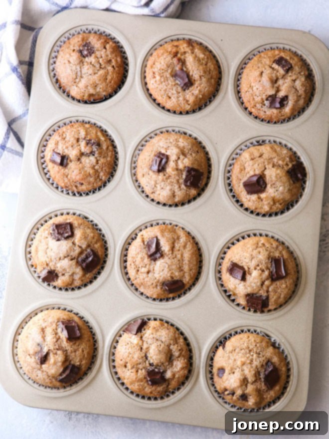 Whole Wheat Banana Muffins with Chocolate Chunks