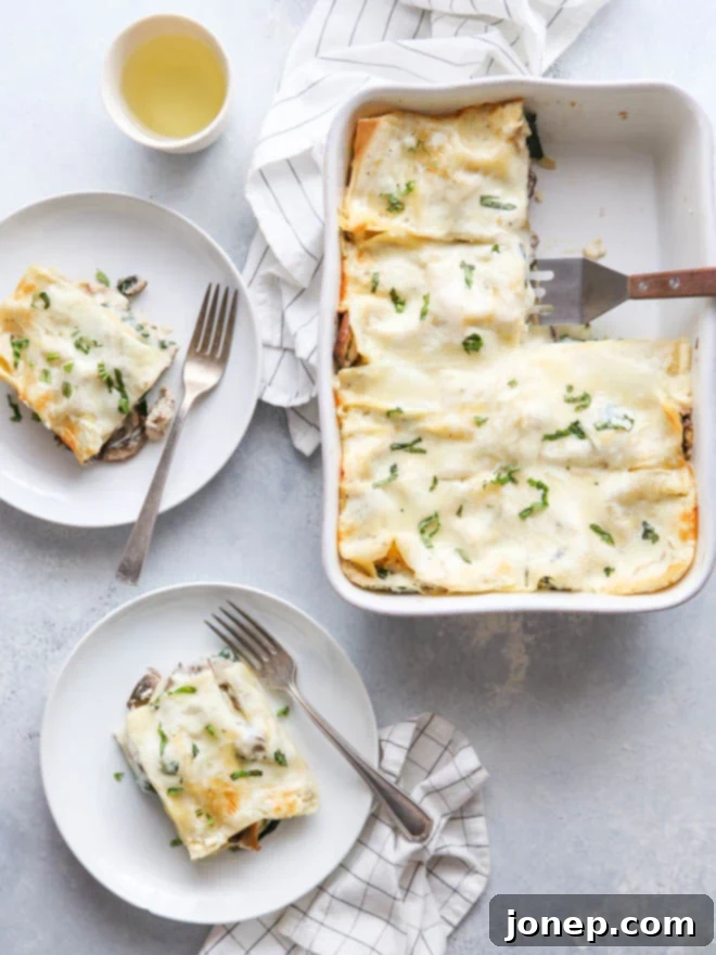 Golden-baked chicken, mushroom, and spinach lasagna in a cheesy white sauce, fresh out of the oven in a beautiful casserole dish.