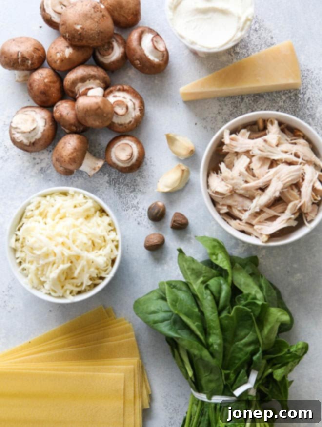 All the fresh ingredients meticulously arranged for preparing a delicious chicken, mushroom, and spinach lasagna: butter, mushrooms, spinach, garlic, shredded cooked chicken, flour, milk, ricotta, Parmesan, mozzarella, and lasagna noodles.