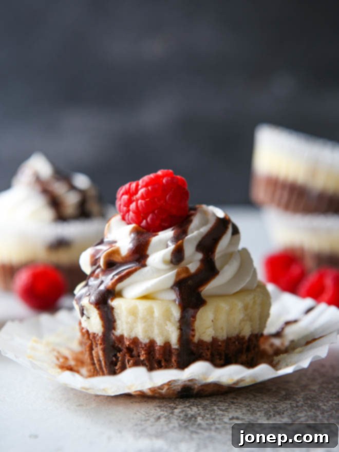 Brownie Bottom Mini Cheesecakes