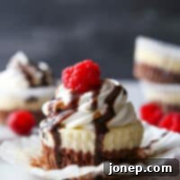 Decadent Brownie Cheesecake Minis 5 Brownie Bottom Mini Cheesecakes
