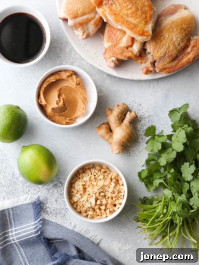 Close-up of Instant Pot Thai Chicken, showcasing the rich peanut sauce and tender chicken.