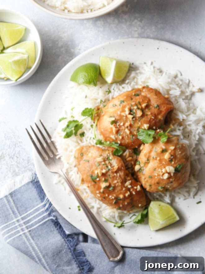 Close-up of the prepared Instant Pot Thai Chicken, ready to be served over rice.