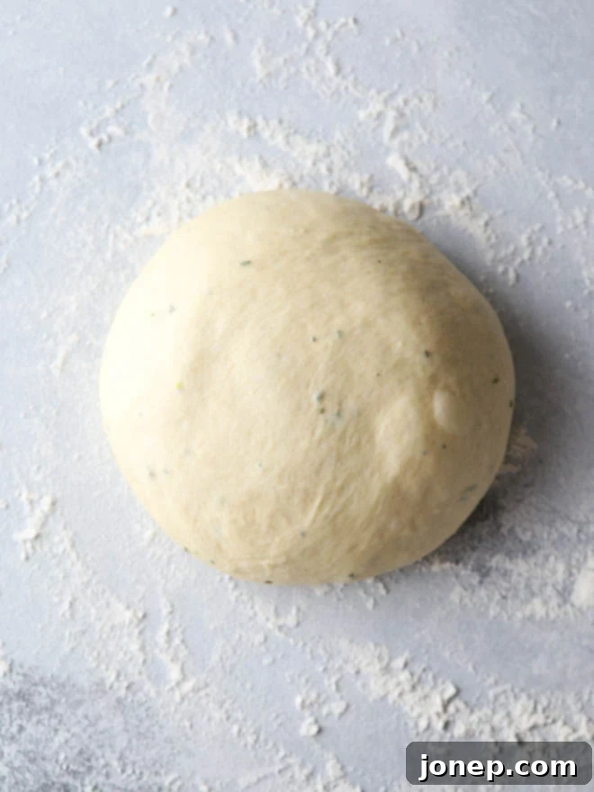 Basic pizza dough rising on a counter