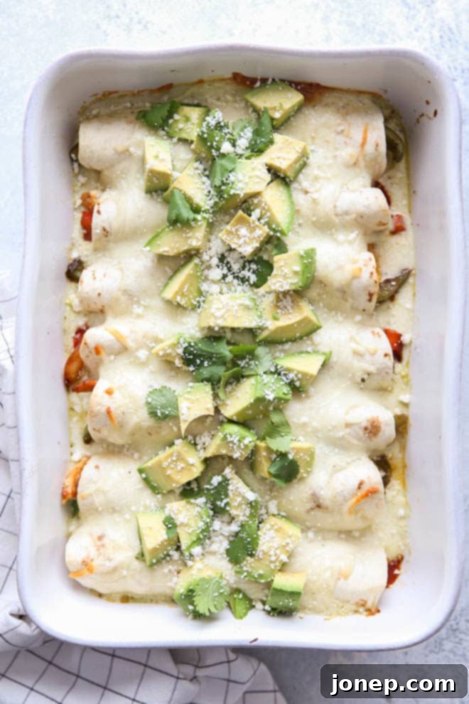 A close-up shot of a single Chicken Fajita Enchilada with creamy sauce and cheese