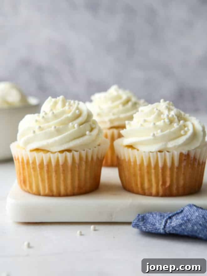 Classic Vanilla Cupcakes 2 Perfectly baked golden vanilla cupcakes, ready for frosting.