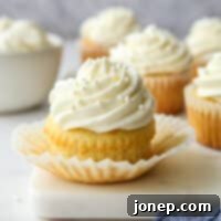 Classic Vanilla Cupcakes 10 A beautifully frosted vanilla cupcake, showcasing the double vanilla flavor.