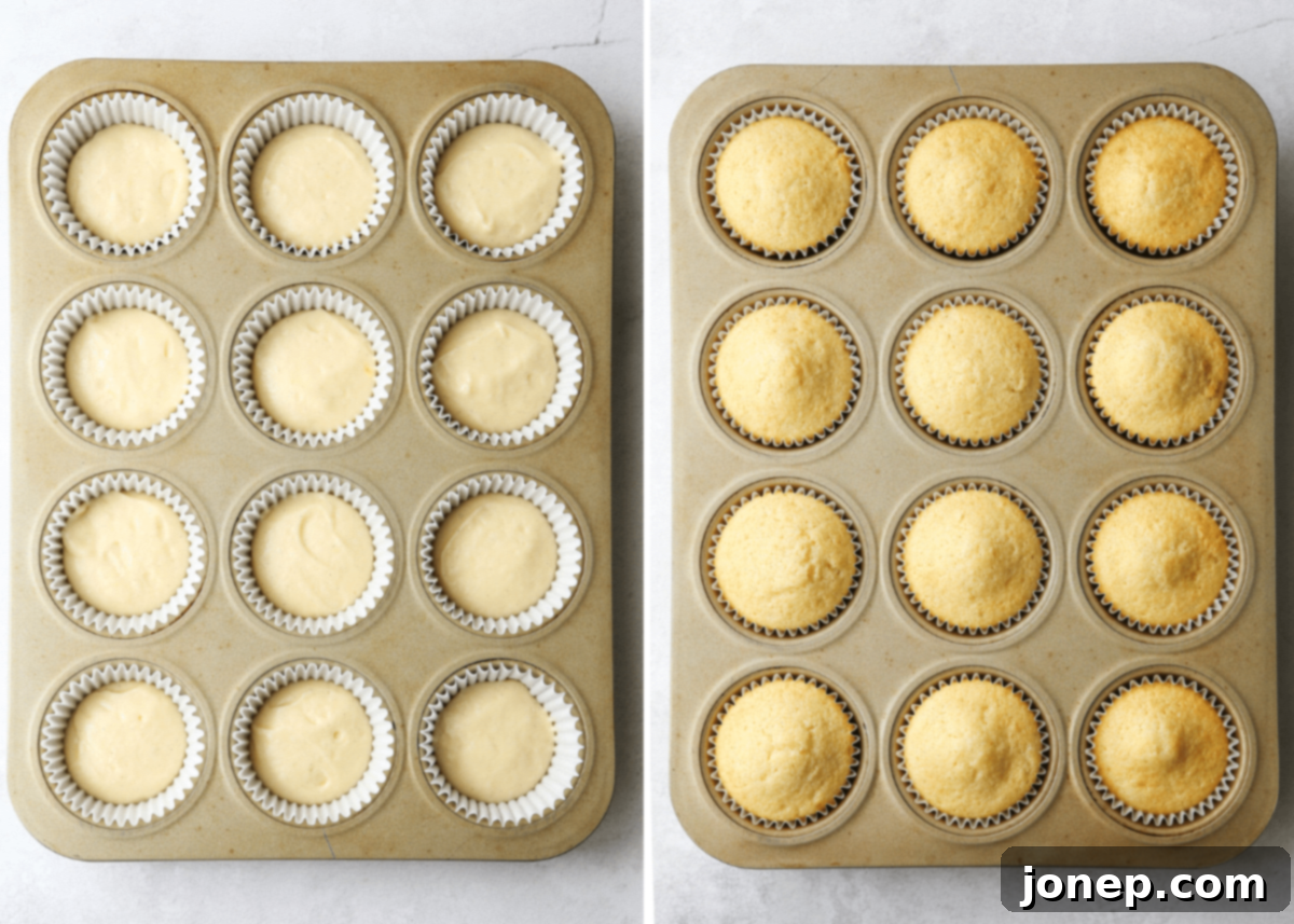 Cupcake batter being scooped into paper liners in a muffin pan.