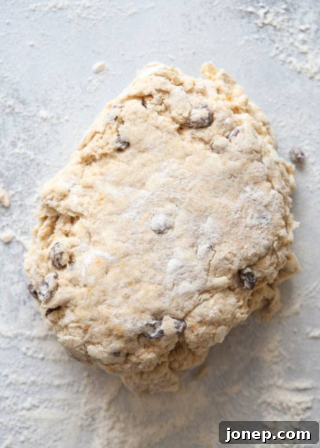 hot cross biscuit dough