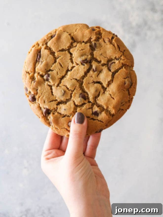 One giant peanut butter chocolate chip cookie... for one or more!