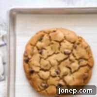 Epic Peanut Butter Chocolate Chip Cookie 6 One giant peanut butter chocolate chip cookie... for one or more!