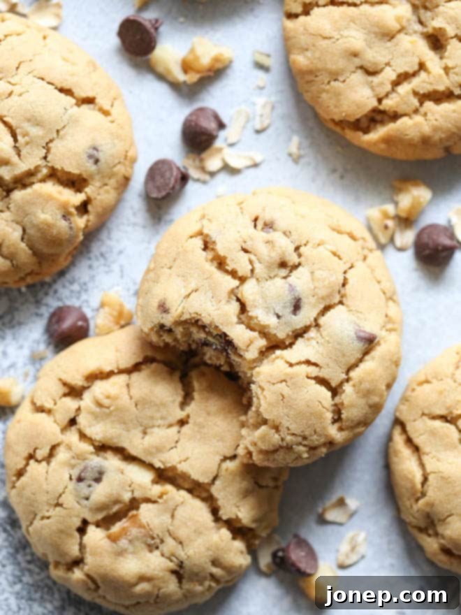 Wholesome Peanut Butter Oatmeal Chocolate Chip Delights 6 Ranch House Cookies are filled with peanut butter, oats, chocolate chips, and walnuts