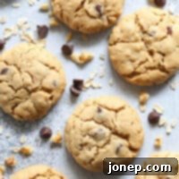 Wholesome Peanut Butter Oatmeal Chocolate Chip Delights 7 Ranch House Cookies are filled with peanut butter, oats, chocolate chips, and walnuts