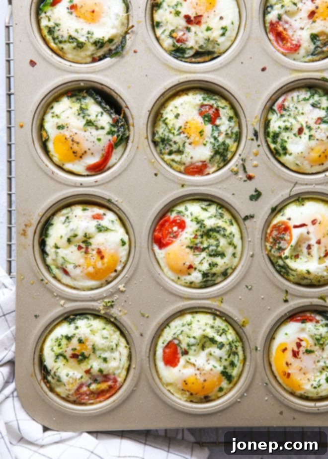 Spinach and tomato baked egg cups are great for breakfast and brunch!