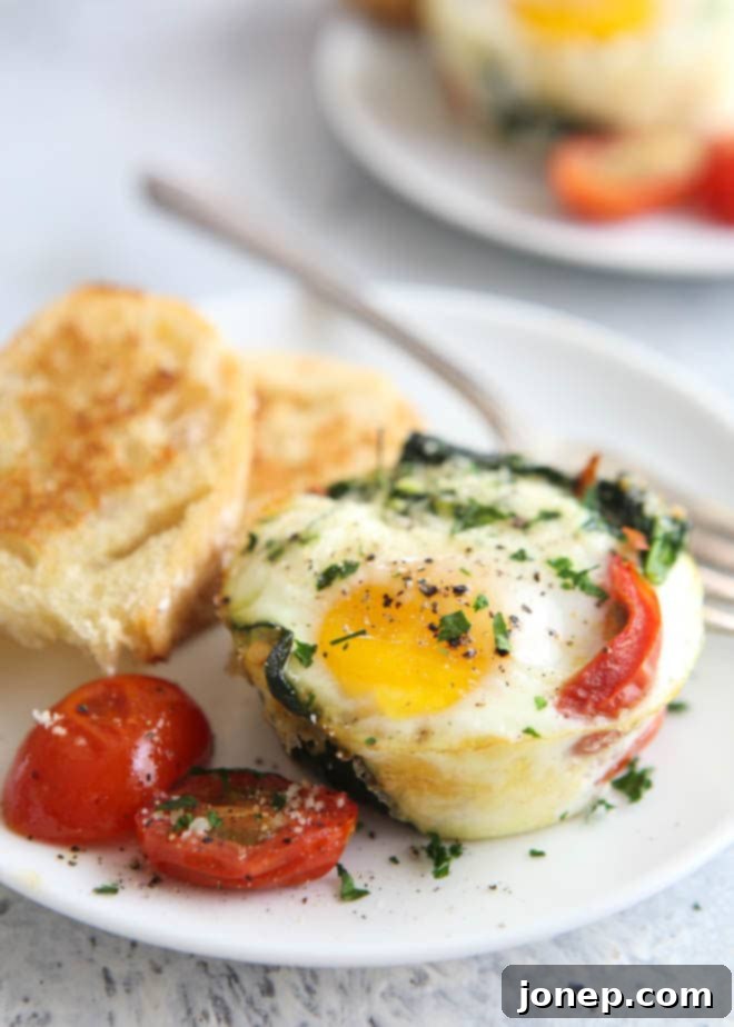 Spinach and tomato baked egg cups are great for breakfast and brunch!