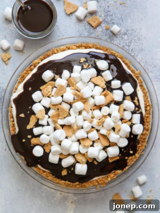 Smores Ice Cream Pie 9 overhead view of s'mores ice cream pie