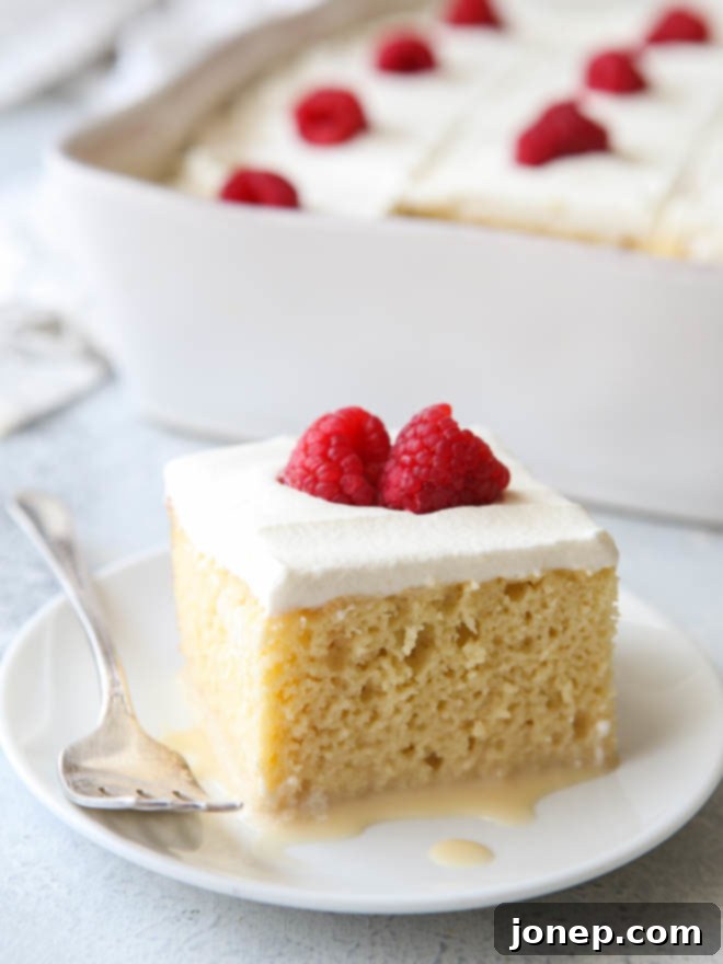 A beautifully presented slice of classic Tres Leches cake with fluffy whipped cream and a hint of caramel drizzle, served on a white plate.