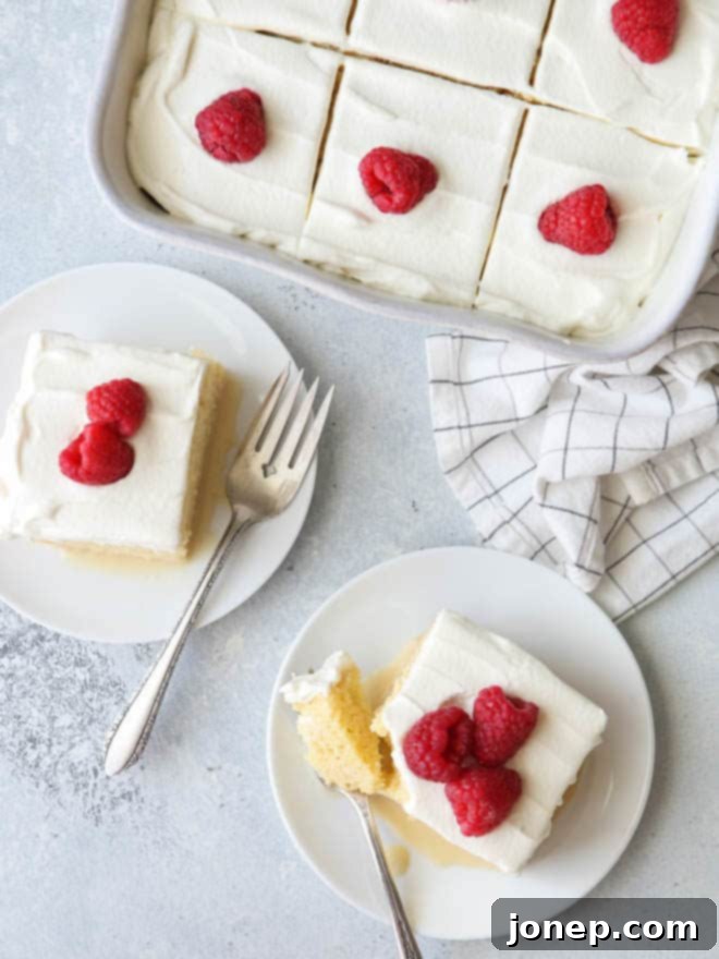 Close-up of a perfectly moist slice of classic Tres Leches cake, showcasing its milk-soaked interior and the generous, smooth layer of whipped cream on top.