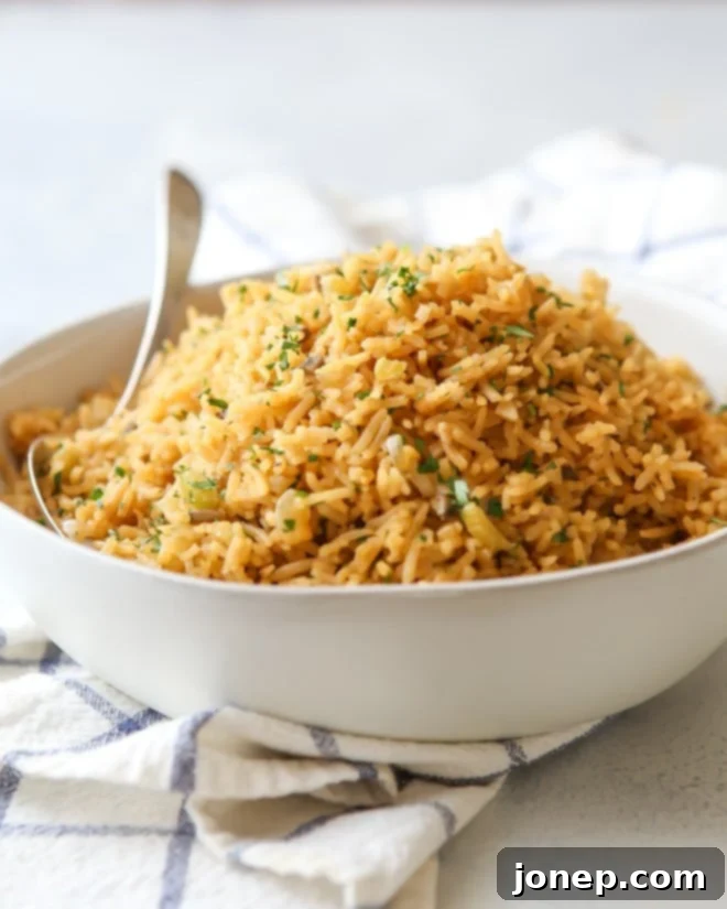 Rice pilaf in a bowl with a spoon