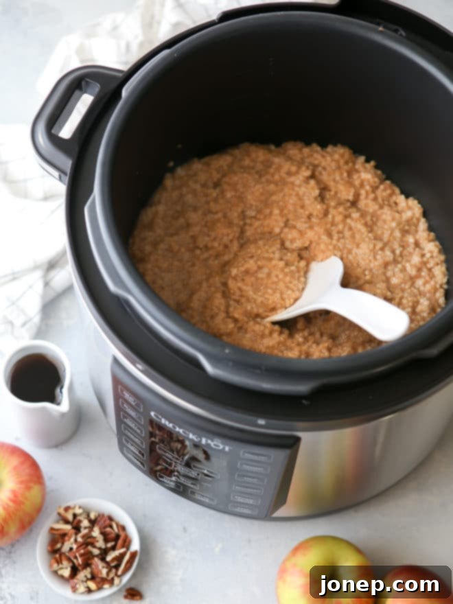Simple apple cinnamon oatmeal bowls made in the pressure cooker!