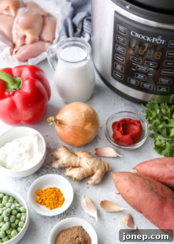 Pressure Cooker Korma in the Crock-Pot Express