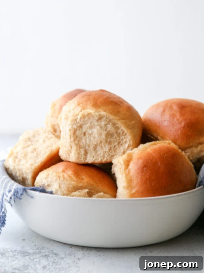 These honey whole wheat rolls are light and tender, with great flavor!