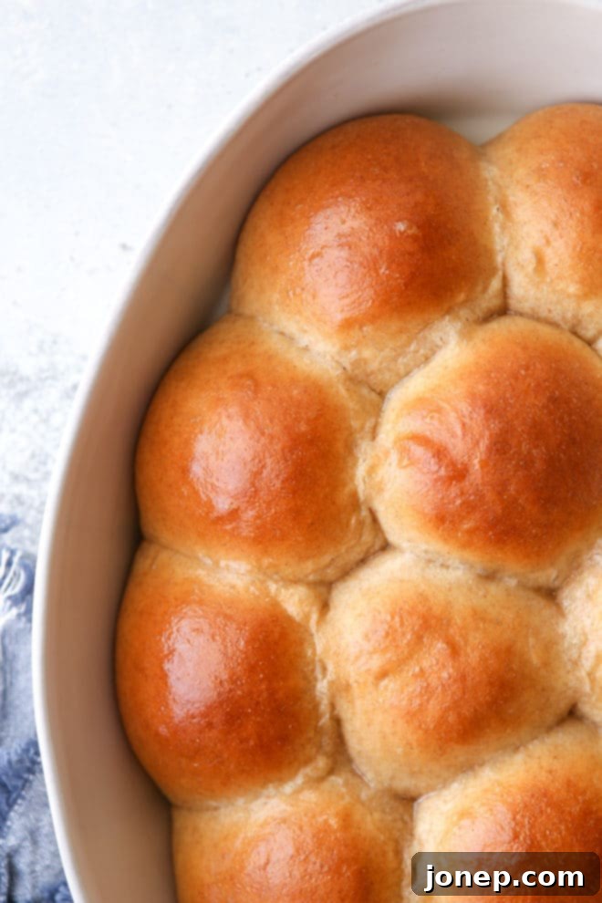 These honey whole wheat rolls are light and tender, with great flavor!