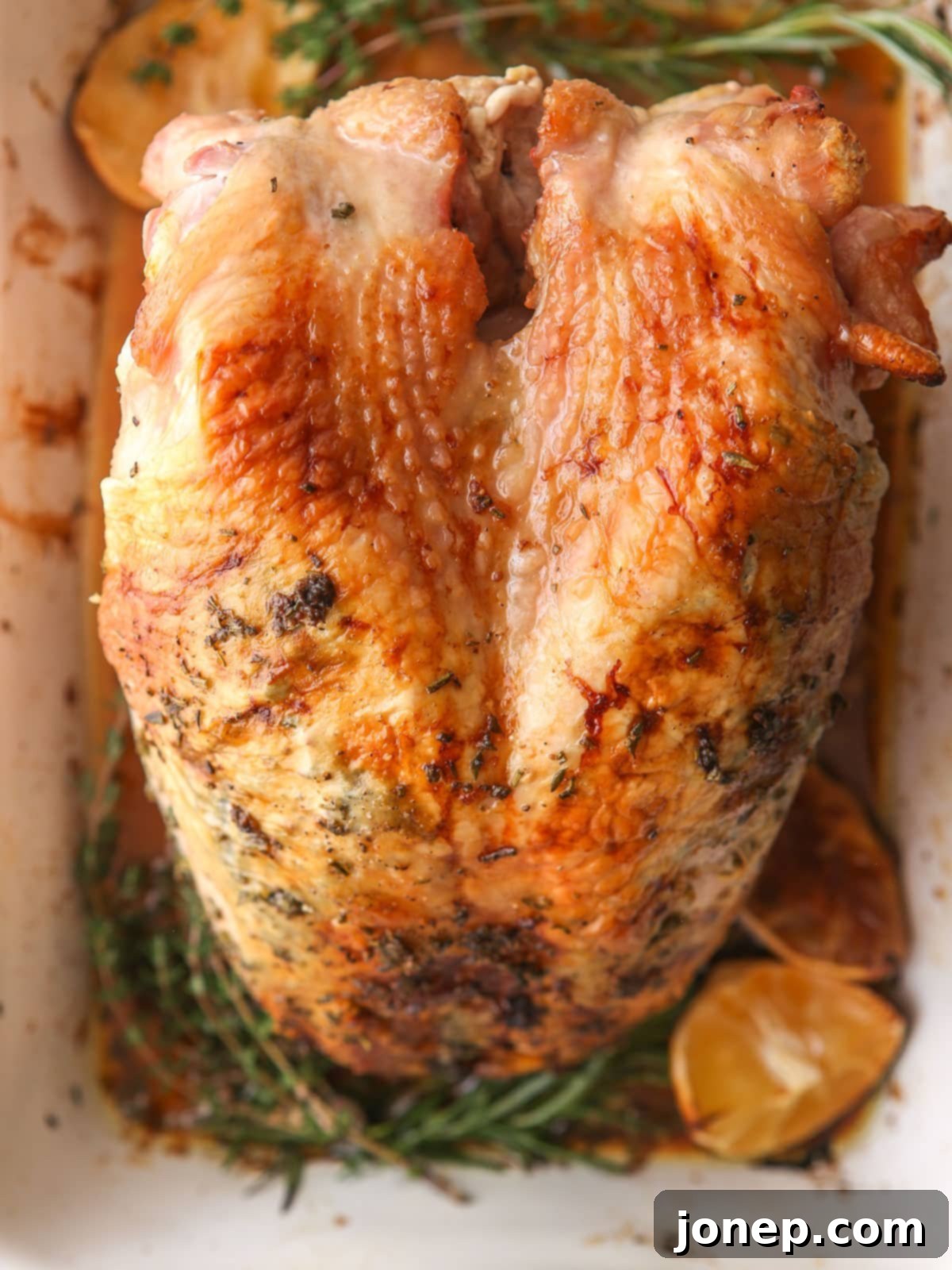 roasted turkey breast with golden, crispy skin and herbs