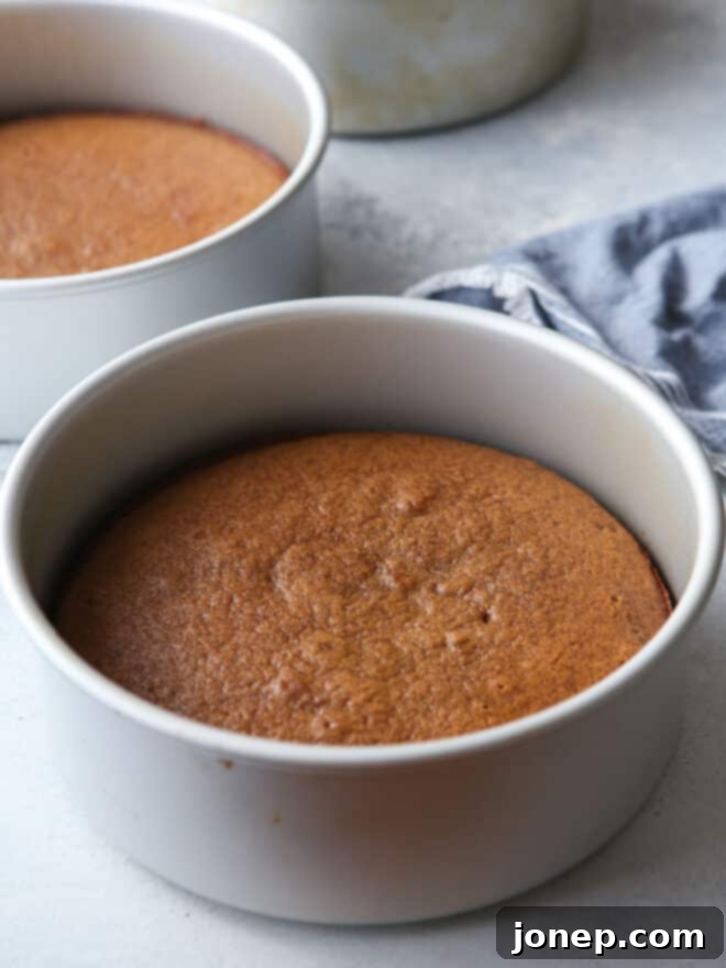 baked cake layers in cake pan